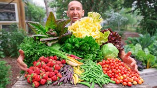 Unbelievable Backyard Garden Harvest This is What I Harvested Today [upl. by Icnan]