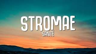 Stromae  Santé Paroles  Lyrics [upl. by Kado]