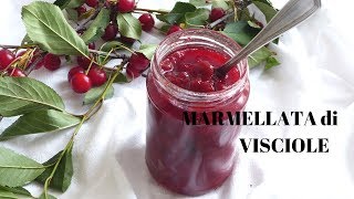 MARMELLATA DI VISCIOLE la più buona del mondo  RICETTE DI GABRI [upl. by Mcgill]