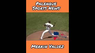 Merkin Valdez Breve resumen [upl. by Nnailuj]