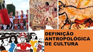 DEFINIÇÃO ANTROPOLÓGICA DE CULTURA [upl. by Corell227]