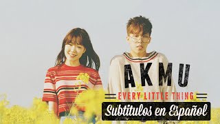 Akdong Musician AKMU  Every Little Thing Subtitulos en Español  Hangul [upl. by Nelson]