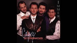 Cagey Strings  Zerbrich mein Herz 1999 [upl. by Sabsay]