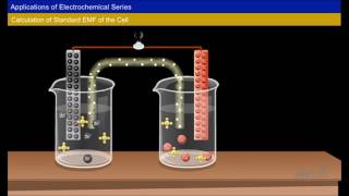 Electrochemical Series and its Applications Year1 [upl. by Eyot]