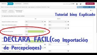 Tutorial declara fácil IGV Renta Sunat 2018 Importación de Percepciones [upl. by Azrim]