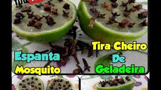 Como Espantar MoscasMosquitos e Tirar Cheiro de Geladeira [upl. by Fantasia]