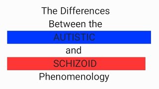 A psychoanalytic talk on the differences between Autistic and Schizoid phenomenology [upl. by Ynneh]