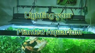 Lighting a Planted Aquarium [upl. by Siari922]