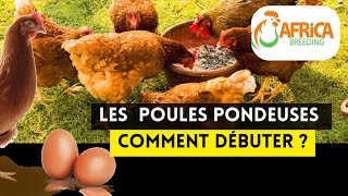 5 Étapes Pour Débuter lÉlevage des Poulets Pondeuses Facilement [upl. by Fanning]