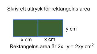 Multiplicera variabler [upl. by Nautna]