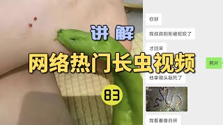 4K  网络热门长虫视频83粉丝说他叔叔被毒蛇咬伤！拿假照片找龙雅鉴定？结果竟然是个大青椒！【世界记忆大师龙雅】 [upl. by Eatnohs664]