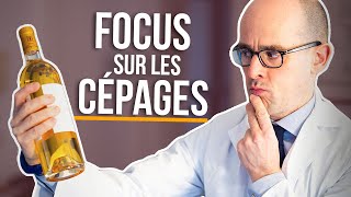 LES CÉPAGES cest pas sorcier  Leurs influences sur le vin [upl. by Potash]