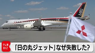 国産旅客機「MRJ」はなぜ失敗したのか？関係者の証言から原因と課題を振り返る【ガイアの夜明け】 [upl. by Chlori]