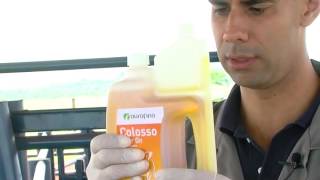 Como usar Colosso Pour On Para Carrapatos Sarna Larva Berne Pugas e Moscas [upl. by Agata]