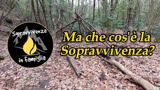 Ma cosè la sopravvivenza Come affrontare le sfide senza incorrerere in problemi burocratici [upl. by Llennaj]