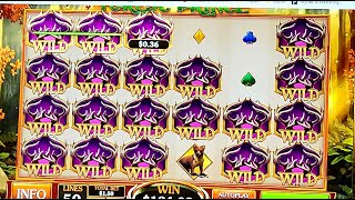 CASINO BET365  SUPER BIG WIN [upl. by Kliment]