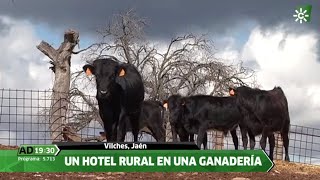 Hotel El Añadío turismo taurino Vilches Jaén [upl. by Heisel]