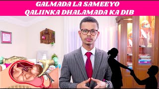 GALMADA LA SAMEEYO QALIINKA DHALAMADA KA DIB  Dr faris [upl. by Aihsal]