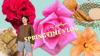 LA VLOG • Spring is here baby hummingbirds slowing down 🌎 [upl. by Yllod]