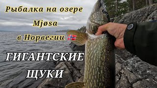 Fiske i Mjøsa Норвегия Рыбалка на самом глубоком озере Глубина 453 метра [upl. by Vanden496]