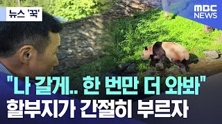 뉴스 꾹 quot나 갈게 한 번만 더 와봐quot 할부지가 간절히 부르자 20240713MBC뉴스 [upl. by Ylrebmik]