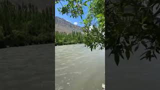 Suru River Kargil  Suru Valley  Ladakh ladakh kargil zanskar sankoo padum ladakhtrip [upl. by Blossom42]