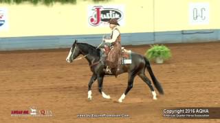 A Judges Perspective 2016 AQHA Senior Ranch Riding [upl. by Nevaeh]