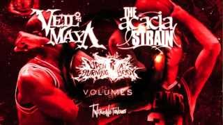 VEIL OF MAYA  The Acacia Strain Tour Trailer [upl. by Kroo]