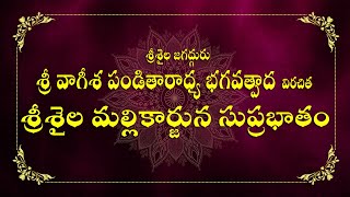 Srisaila Mallikarjuna Suprabhatam  జగద్గురు శ్రీ వాగీశ పండితారాధ్య భగవత్పాద కృత శ్రీశైల సుప్రభాతం [upl. by Boony]