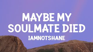 iamnotshane  Maybe My Soulmate Died Lyrics [upl. by Gylys]