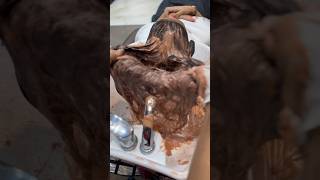 Reddish brown hair color sahilalihairartist balayage hairdye hairstyle haircolor [upl. by Adlar]