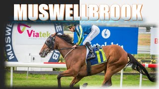 【MUSWELLBROOK】 AUSTRALIA HORSE RACE ANALYSIS [upl. by Westbrook]