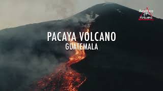 Pacaya volcano 01 aventurevolcans volcano volcan shortsvideo Pacaya guatemala aventure [upl. by Atiuqer]