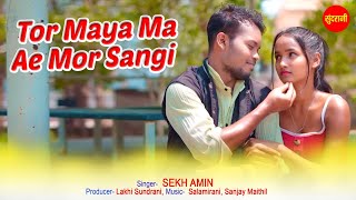 तोर मया मा ऐ मोर संगी  Tor Maya Ma Ae Mor Sangi  Sekh Amin  छत्तीसगढ़ी गाना  Cg Love Song [upl. by Srevart]