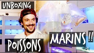 UNBOXING  DES CENTAINES DE POISSONS MARINS   VLOG TOOPET [upl. by Bremble480]