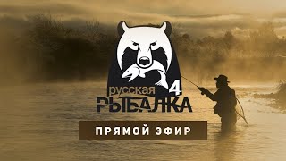 РУССКАЯ РЫБАЛКА 4 ЛОВИМ ВСЁ ПОДРЯД [upl. by Mcknight813]