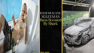 DANI MOCANU  SULEYMAN Bass Boosted Shark [upl. by Ruffina]