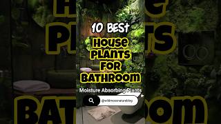 Best indoor plants for bathroom  moisture absorbing plants shorts houseplants homedecor [upl. by Ennej]