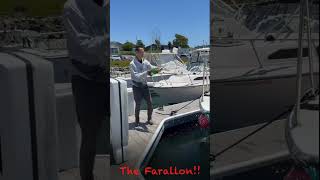 Farallon 2600 Christening [upl. by Eilis]