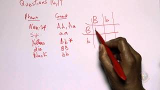 How to solve GAMSAT Section 3 problems ACER Practice Test 1  Green Booklet Unit 5 Q16  17 [upl. by Karney]