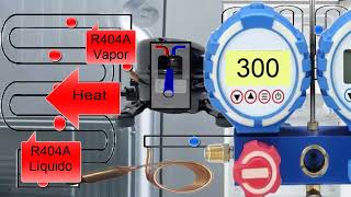 R404A Pressure Explained in Home Fridges Key Parts Functions and Troubleshooting Tips [upl. by Blus]