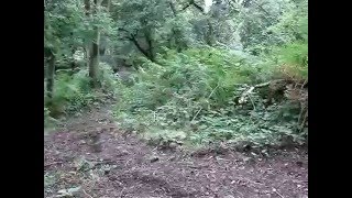 MTB Downhill The Wrekin Shropshire England [upl. by Elletsirk]