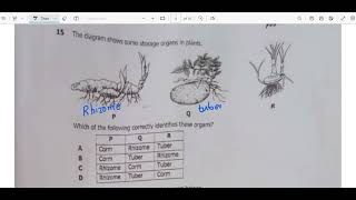 Biology paper 1 2023 GCE Q11 to Q20 [upl. by Vasileior81]