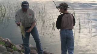 Devils Lake North Dakota Walleyes and White Bass [upl. by Reizarf]