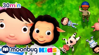 Ringel Ringel Reihe  Kinderlieder und Cartoons  Little Baby Bum  Moonbug Kids Deutsch [upl. by Nabetse219]