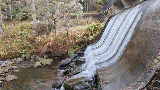 Spillway at Lake Susan Montreat NC April 2024 [upl. by Scheer]