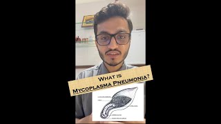 What is Mycoplasma pneumonia [upl. by Aihsyla]