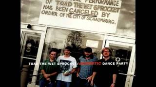 Toad The Wet Sprocket Fall Down acoustic [upl. by Gusba]