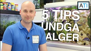 5 tips til at undgå og begræns alger i akvariet  Begynder guide [upl. by Innob]