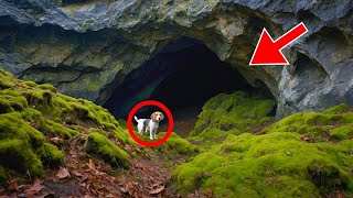 UN PERRO NO DEJA DE LADRAR EN UNA CUEVA HASTA QUE SU DUEÑO SE ARMA DE VALOR PARA ENTRAR Y DESCUBRIR [upl. by Nyllij]